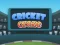 Mäng Cricket Craze Internetis