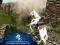 Mäng Ertugrul Gazi Horse Sim Internetis