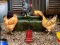 Mäng Poultry Farm Easter Escape Internetis