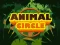 Mäng Animal Circle Internetis