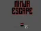 Mäng Ninja escape Internetis
