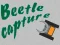 Mäng Beetle Capture Internetis