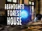 Mäng Abandoned Forest House Internetis