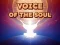 Mäng Voice Of The Soul Internetis