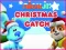 Mäng Nick Jr. Christmas Catch Internetis