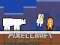 Mäng PixelCraft Animal School Internetis