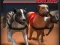 Mäng Greyhound Racing Internetis