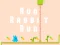 Mäng Run Rabbit Run Internetis