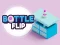 Mäng Bottle Flip Internetis