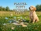 Mäng Playful Puppy Outdoor Puzzle Internetis