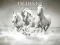 Mäng Horses Puzzle Internetis