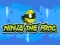 Mäng Ninja the Frog Internetis