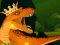 Mäng The Dino King Internetis