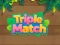 Mäng Triple Matched Internetis