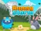 Mäng Bunny Storm Internetis