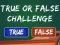 Mäng  True Or False Challenge Internetis