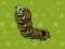 Mäng Zombie Worms Internetis