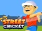 Mäng Street Cricket Internetis