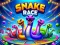 Mäng Snake Race Internetis