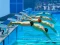 Mäng Swimming Pool Race Internetis