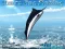 Mäng Azure Sea Fishing Internetis