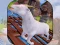 Mäng Angry Goat Wild Animal Rampage Internetis