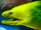 Mäng Underwater World Jigsaw Internetis