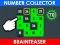 Mäng Number Collector: Brainteaser Internetis