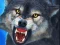 Mäng Sniper Wolf Hunter Internetis