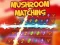 Mäng Mushroom matching Internetis