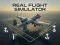 Mäng Real Flight Simulator Internetis