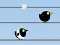Mäng Gone with the Birds Internetis