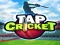 Mäng Tap Cricket Internetis