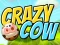Mäng Crazy Cow Internetis