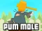Mäng Pum-Mole Internetis