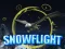 Mäng Snowflight Internetis