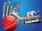 Mäng Cricket World Cup Game Internetis