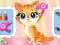 Mäng Pets Beauty Salon Internetis