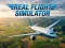 Mäng Real Flight Simulator Internetis
