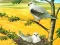 Mäng Birds Of Prey Puzzle Internetis