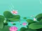 Mäng Lotus Flowers Internetis
