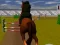 Mäng Jumping Horse 3d Internetis