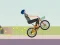 Mäng Wheelie Biker Internetis