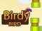 Mäng Birdy Bird Internetis