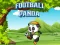 Mäng Football Panda Internetis