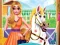 Mäng Princess Pet Treatment Internetis