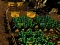 Mäng Pixel Farm Internetis