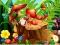 Mäng Hidden Objects Insects Internetis