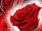 Mäng Red Roses Internetis