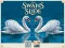Mäng Swans Slide Internetis